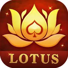 knight teen patti download